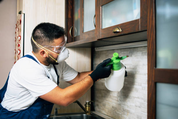 Professional Pest Control in Glasgow, KY