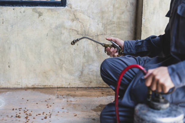 Best Pest Control Cost  in Glasgow, KY